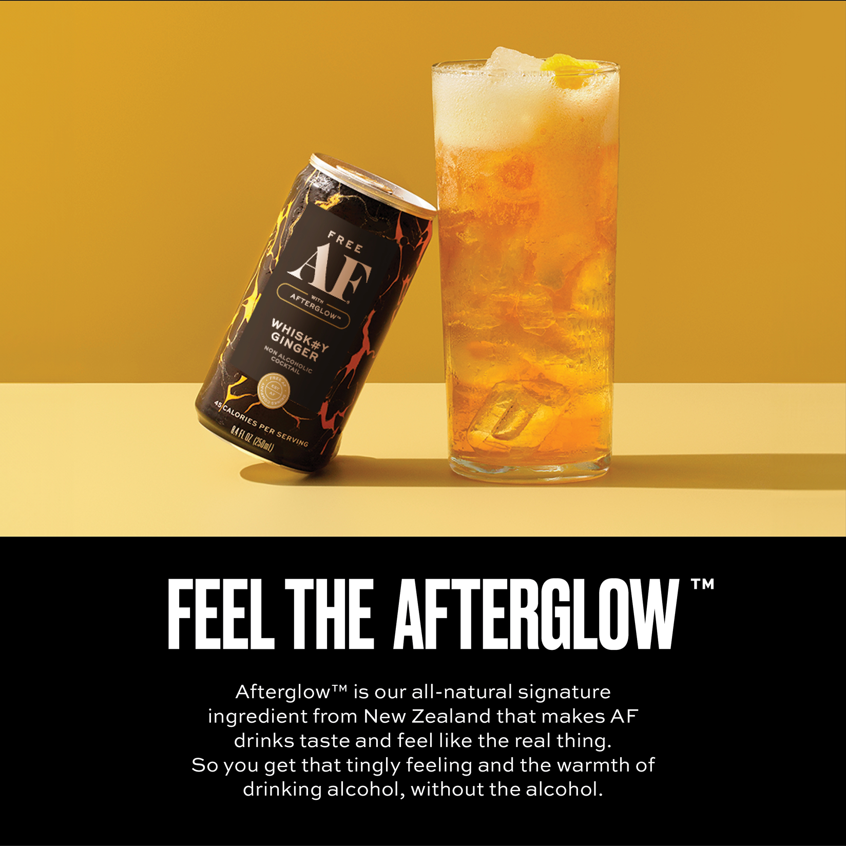 WHISK#Y GINGER (12 PACK)