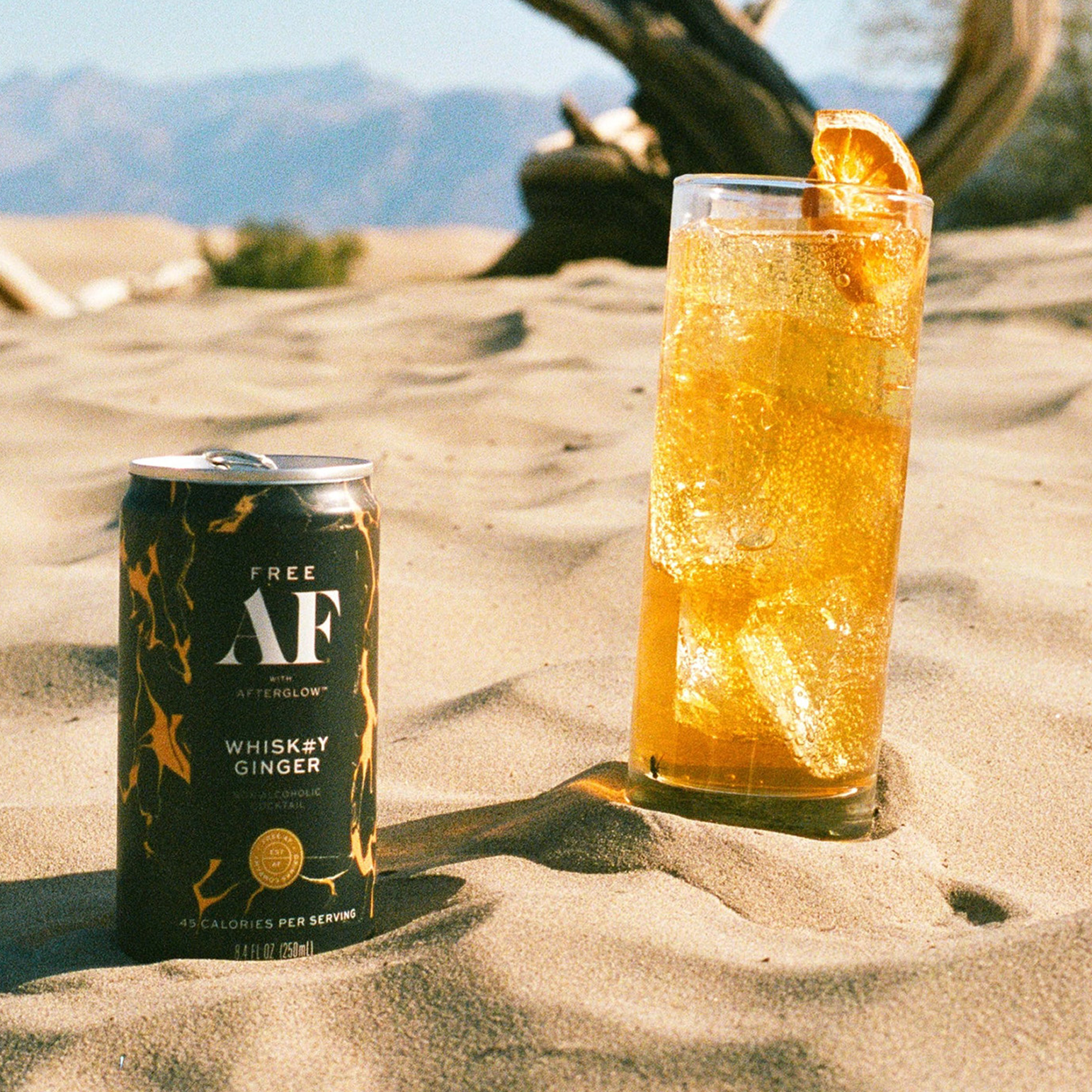 WHISK#Y GINGER (12 PACK)