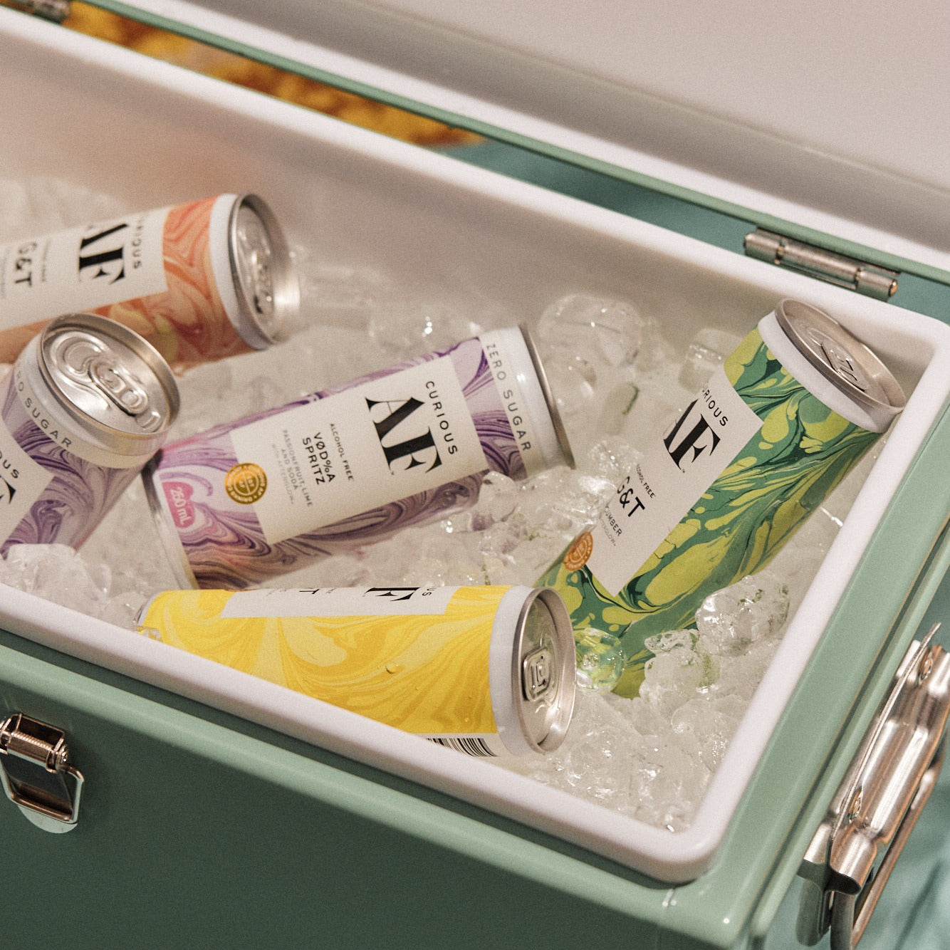 Create Your Own 24 Pack